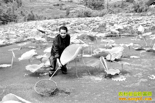 �����ϴ�����Ԫź����������Ķ��������Ԫ