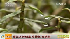 [�Ƽ�Է]�㶫���ݲܺ������ɲ�ʯ���о���