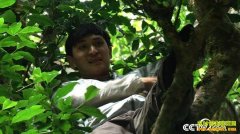 [�¸���]�����º����������򿿹����跢������ǧ��