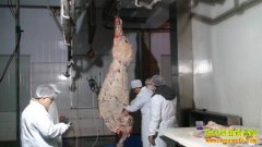 [ũ�����]��ţ�ľ�ϸ�ָ��