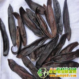 ��ҩ��ˮ��ͼƬ