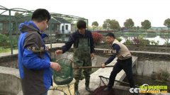 [�¸���]�㻹������ô�� ���ճ��������������¸�