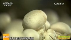 [�Ƽ�Է]�����𺳵�Ģ������ һ���ܲ�8��Ģ��