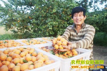 ɽ����ƽ��ΰ����ֲ������2Ķ��׬3��Ԫ