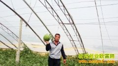 ɽ��ƽԭ�ǽ�Ӫ����������ÿĶ��׬����ǧԪ