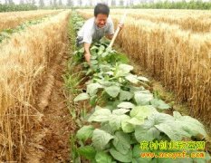 ɽ��۰��֣���С�������ඹ������Ķ����1���Ԫ