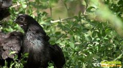 [�¸���]�½���³����ΰ͵�������п���������Ƹ�