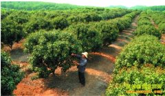 �Ĵ��ϳ䶭�ı��ֹ��� ��԰��Բũ����