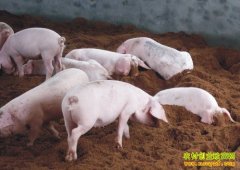 �ļ���������Ϊ�����棿