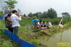 ����ȫ���ѹ㵾����ֳС��ϺĶ����ǧԪ