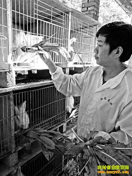 ��ֳ��ë��׬Ǯ������ᶼ�࿡������ë����׬6��Ԫ