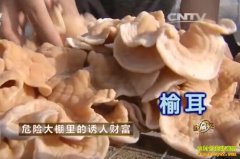 [�¸���]ɽ����̨������Σ�մ�������ܶ��Ƹ�