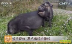 [ÿ��ũ��]�������� ��ֳ��ɽ��ë������׬Ǯ