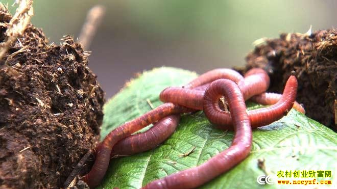 [�¸���]�����˻����ţ�����������3000��