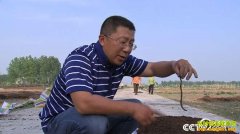 [�¸���]�����˻����ţ�����������3000��