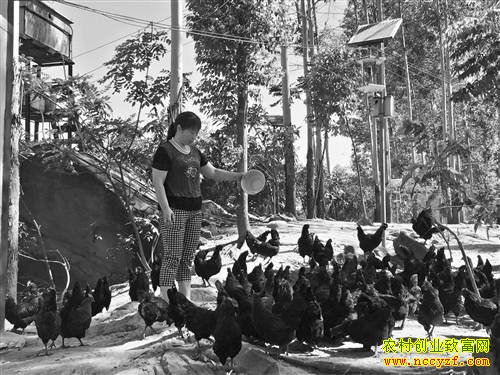  ���Ƽ����ι��