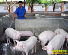 �ļ��������Ԥ��������