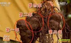 [ÿ��ũ��]���»ƾ�׬���ƽ��˹��ֻƾ���׬Ǯ