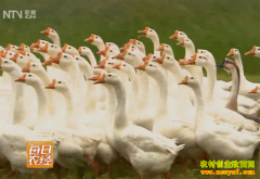 [ÿ��ũ��]�������ֶ쵰���������Ƹ�����