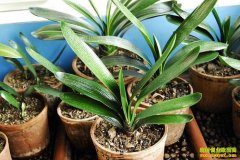 [ũ�����]��������ͥ���༼����Ƶ