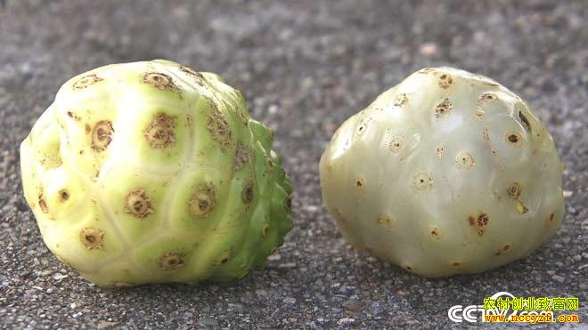 [�¸���]�������Ǻ��¯��ֲŵ������׬Ǯ