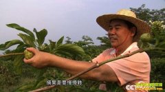 [�¸���]�������Ǻ��¯��ֲŵ������׬Ǯ