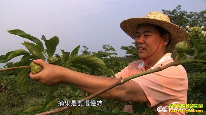 [�¸���]�������Ǻ��¯��ֲŵ������׬Ǯ