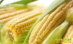 ����80��ҵ��������������ˮ�����׺��¸�