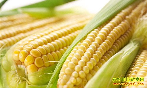 ����80��ҵ�����������������׺��¸�