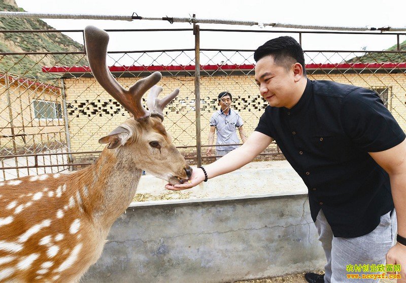 ɽ��������ΰ����¹ÿͷ¹����6000Ԫ