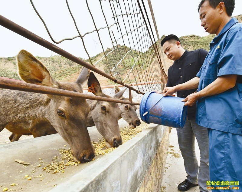 ɽ��������ΰ����¹ÿͷ¹����6000Ԫ