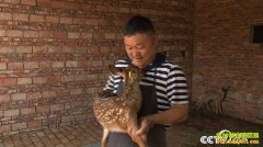 [�¸���]�������������ֳ÷��¹��ҵ�¸�