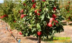 �ӱ���̨ǰ�����塰����+�羰���߳��¸�·