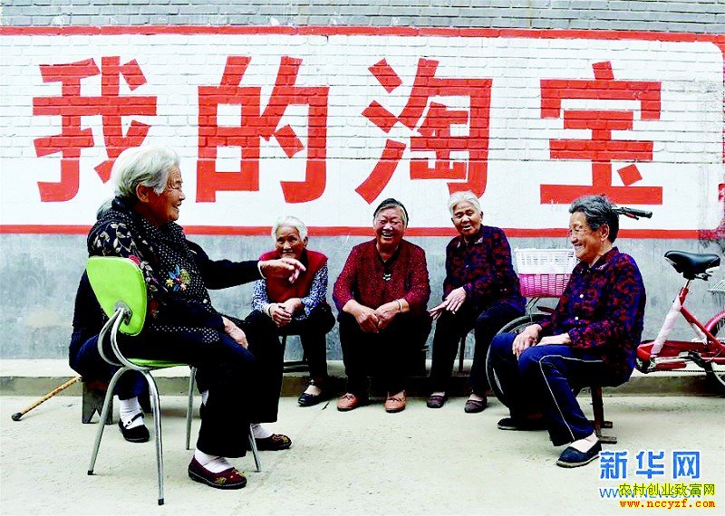 �����ѳ�����������ѡ��