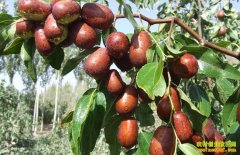 ɽ������ũ���������������½��ֺ��洴��������ҵ