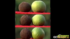 [�¸���]�㶫�����������ֲ�ٺ�����ǧ��Ԫ