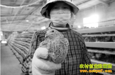 �������Ҷ���������ȼӹ����ȷ�������280��