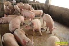 ���ɹŶ�����˹�ŷ�Ӣ���������¸�·