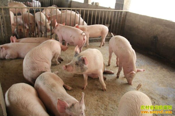 ���ɹŶ�����˹�ŷ�Ӣ���������¸�·