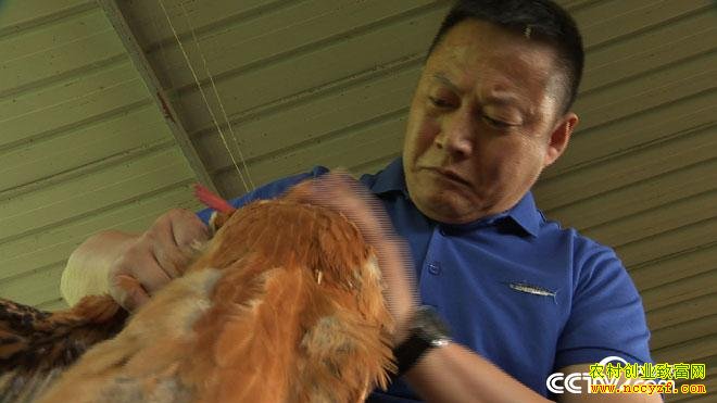 [�¸���]�Ĵ�������������������3000����Ԫ