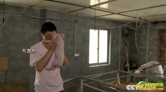 [�¸���]�㽭��Ҧ���պκ�����������Ѱ��·