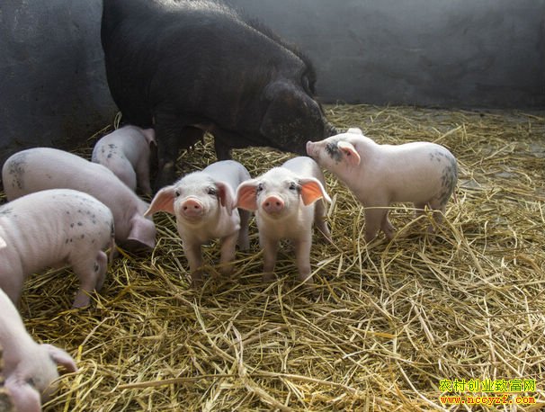 [�¸���]�㽭��Ҧ���պκ�����������Ѱ��·