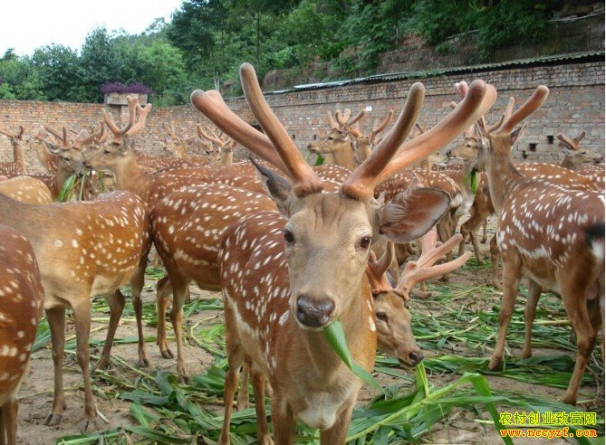 ����ƽ����Ρ����¹��׬��ʮ��