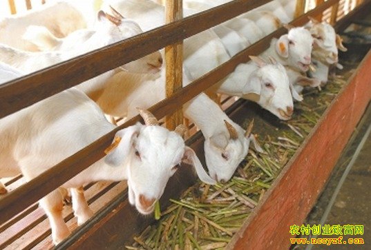 ���Ϸ��������������¸���׬Ǯ