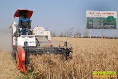 ���չ��Ƶ��̴�����������������Ӵ���������ǧ����