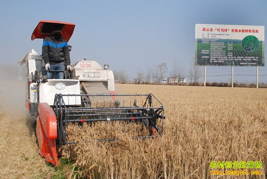 ���չ��Ƶ��̴�����������������Ӵ���������ǧ����