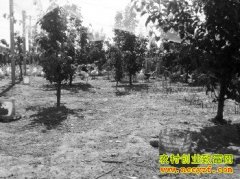 ɽ����������ˮ�����������׶�׬Ǯ���¸�