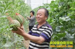 ɽ���������ܹ�������ֲ���Ϻ��������18��Ԫ