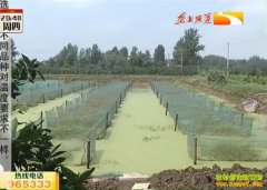 �¸��ð����������������ߴ�����������߼�