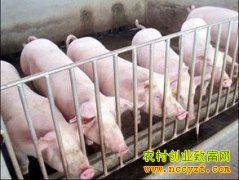 ���ոߴ����û�������Ӣ����������ҵ���¸�